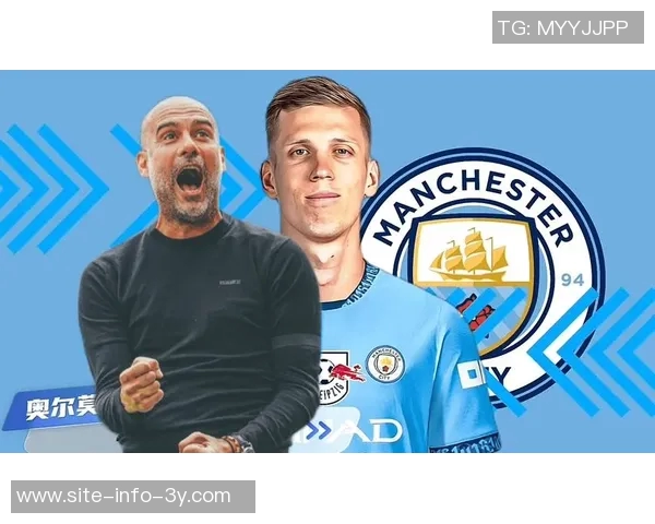 英超CEO强调新财务规章与欧足联一致性确保球队财务规划稳定性